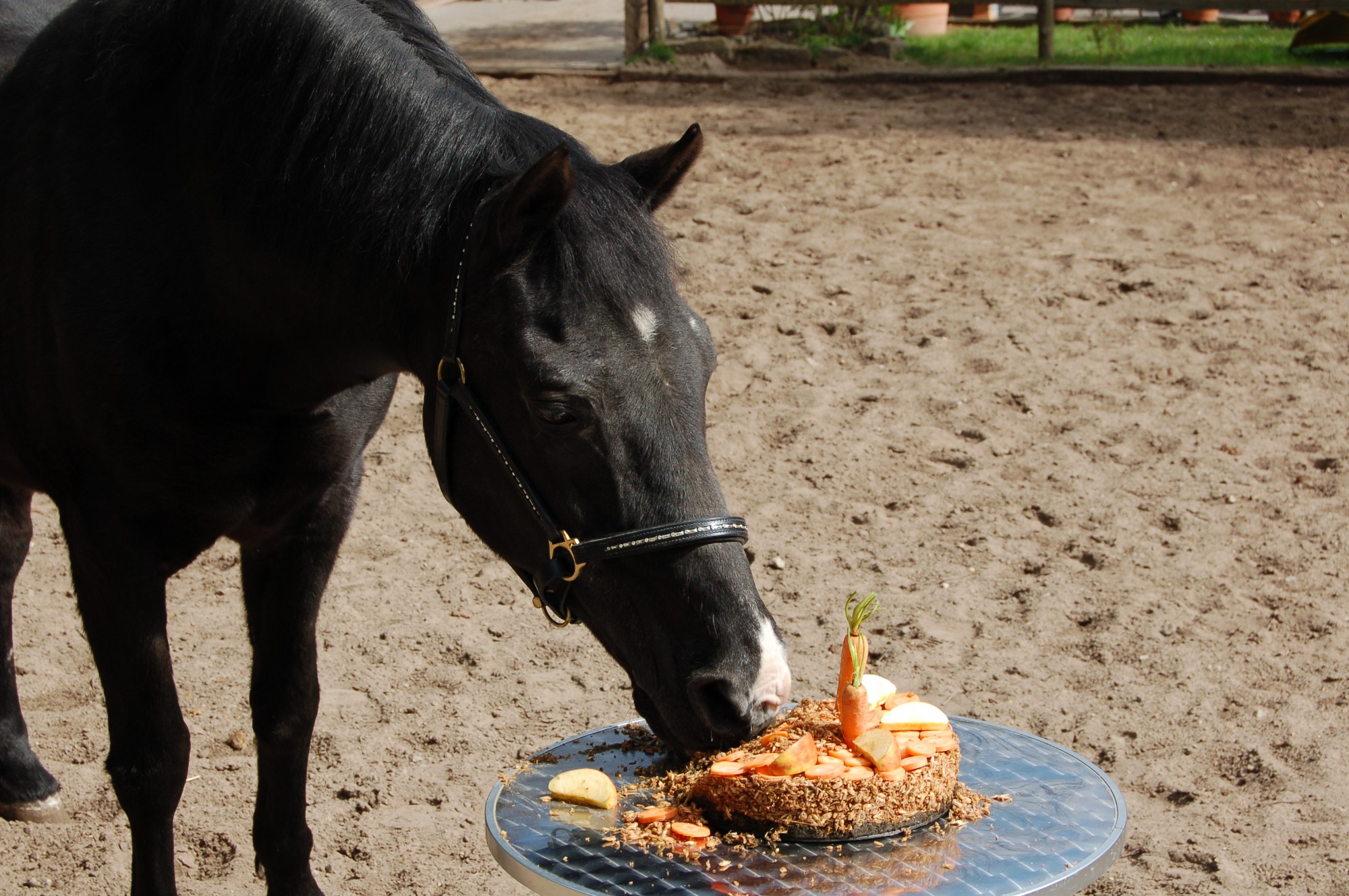 [Danny Black 30 Jahre alt!]